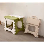 MultiPurpose Folding Chair for Outing, Camping and Indoors - Green
