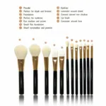 Pack Of 12 - Cosmetic Brushes - Multicolor