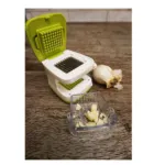 The Garlic Cube - Green