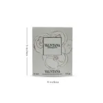 Valntana Rosa Assoluto EAU DE Perfume Vaporisateur-Natural Spray for Her-White 2435