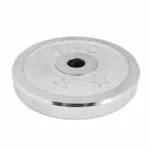 Weight Metal Plate - 4 KG - Silver