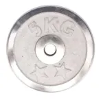 Weight Metal Plate - 5 KG - Silver