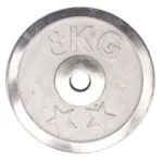 Weight Metal Plate - 8 KG - Silver